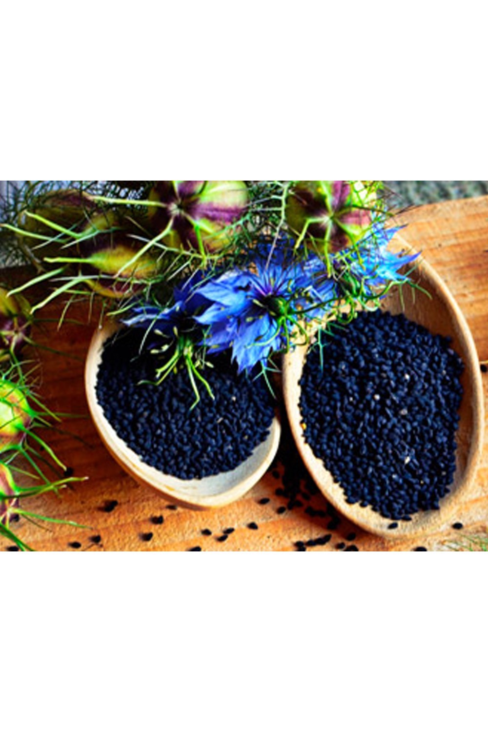 Filtrerad Nigellaolja från Etiopien - Antik Nektar-Nigelle-Safwa Boutique