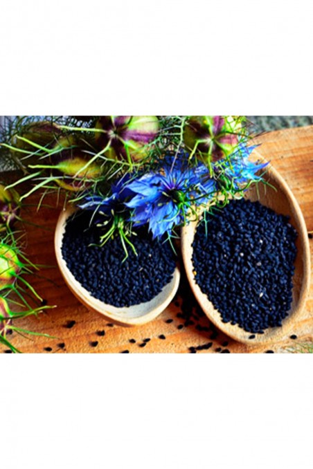 Filtreret Nigella Olie fra Etiopien - Antik Nektar-Nigelle-Safwa Boutique