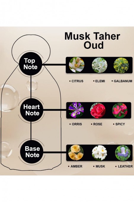Eau de Parfum Musk Taher Oud 80mL - Mine Parfumer Dubai-Parfums Dubaï-Safwa Boutique
