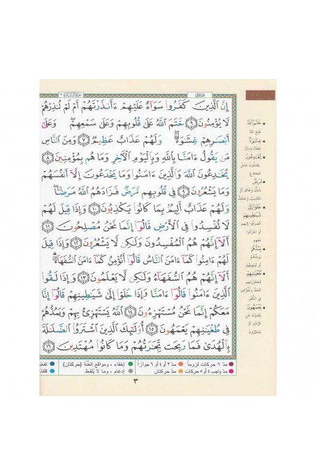 Alcorão al tajwid em árabe "Hafs" grande formato - EDIÇÃO DAR AL MAARIFAH-القرءان – Alcorão-Safwa Boutique