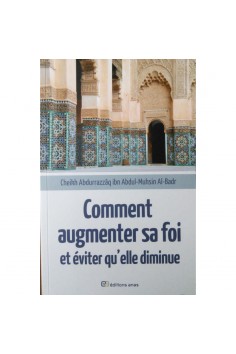 Como aumentar a sua fé e evitar que ela diminua - Sheikh...