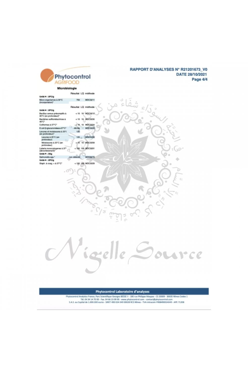 Aceite de costus indio de Egipto 100ml Uso Alimentario - Fuente de Nigella-Huiles Naturelles-Safwa Boutique