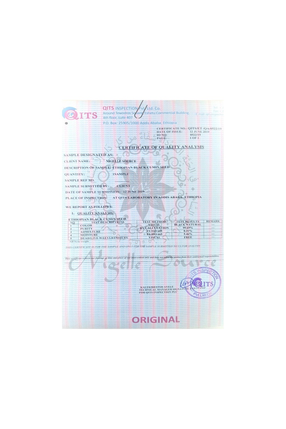 Eetbare Ethiopische Habachiya Zwarte Zaadolie 100ml - Nigelle Bron-Nigelle-Safwa Boutique