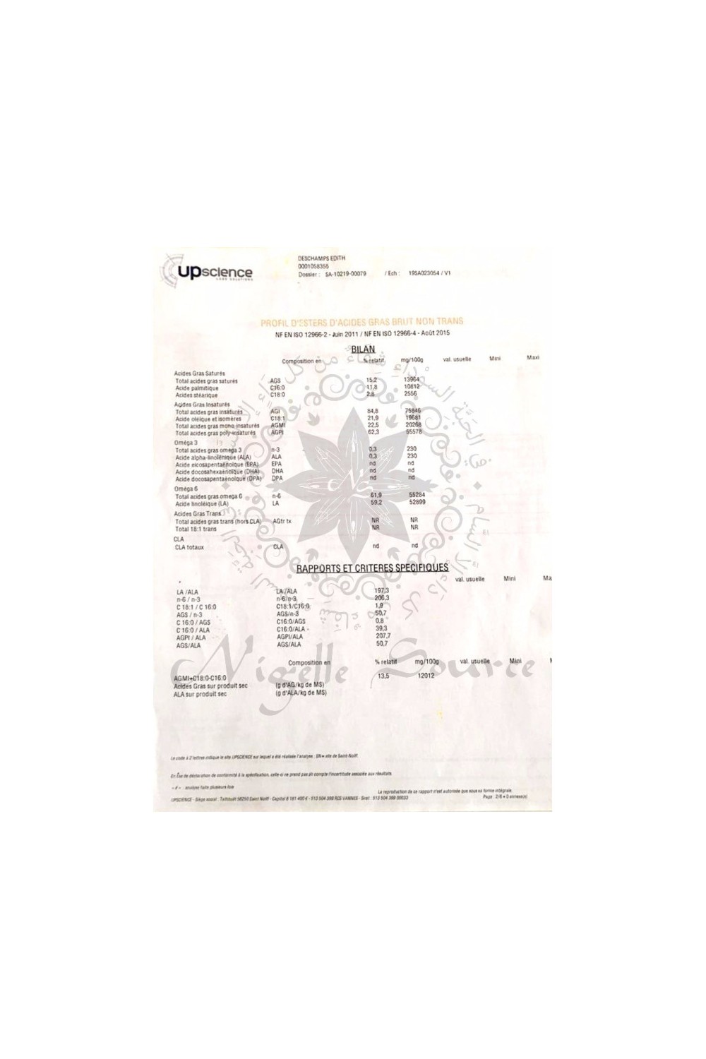 Etiopisk Habachiya Nigella Olje 100ml Matbruk - Nigella Kilde-Nigelle-Safwa Boutique