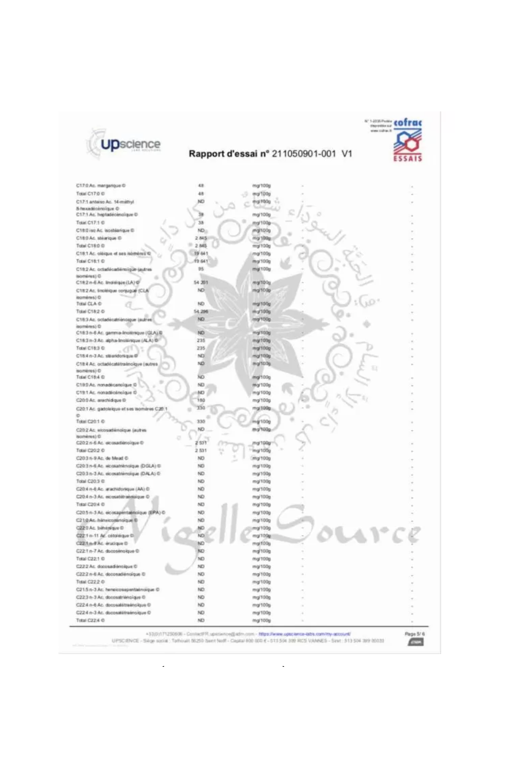 Aceite de Nigella Habachiya de Etiopía 100ml Uso Alimentario - Fuente de Nigella-Nigelle-Safwa Boutique