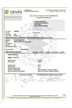 Semi di Nigella Habachiya dell'Etiopia - Cumino nero 100g... 2