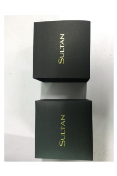 SULTAN LUXURY WATCH - STEEL BRACELET 2