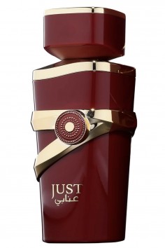 Just Anabi Eau de Parfum 100 mL | Fragrance Wereld 2