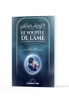 Il respiro dell'anima e le fasi della creazione di Cheikh...