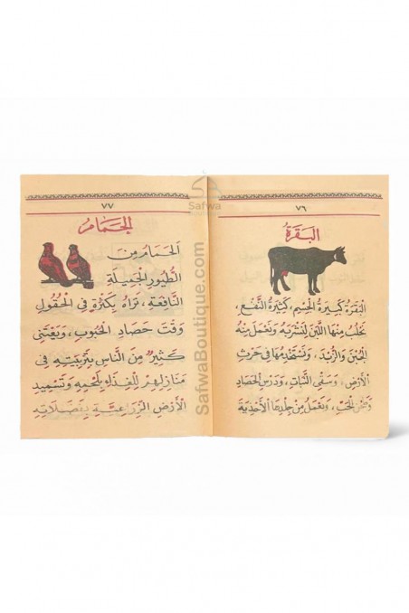 Ma‘allim Al-Qirâ’a + Qa‘ida Baghdadiya (معلم القراءة) – Arabialaisen lukemisen oppimismenetelmä – Atiyya Muhammad-تعلم العربية – Opi arabiaa-Safwa Boutique