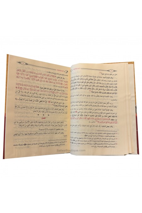 Midlet og Sygdommen Ibn al-Qayyim al-Jawziyya الداء والدواء ابن القيم-الرقائق – Påmindelser-Safwa Boutique