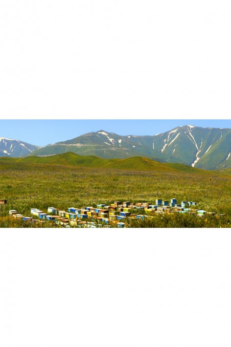 Kirgisia Valkoinen Hunaja - Antiikin Nektari-Miel 100% naturel-Safwa Boutique