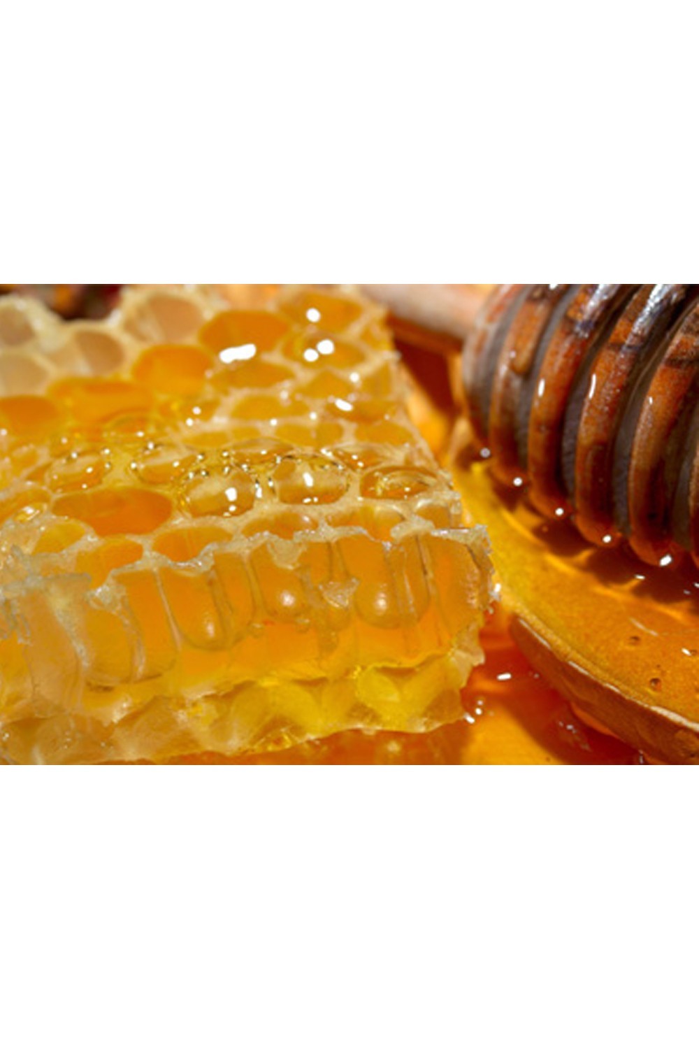 Egyptisk Nigella Honning - Antik Nektar-Miel 100% naturel-Safwa Boutique